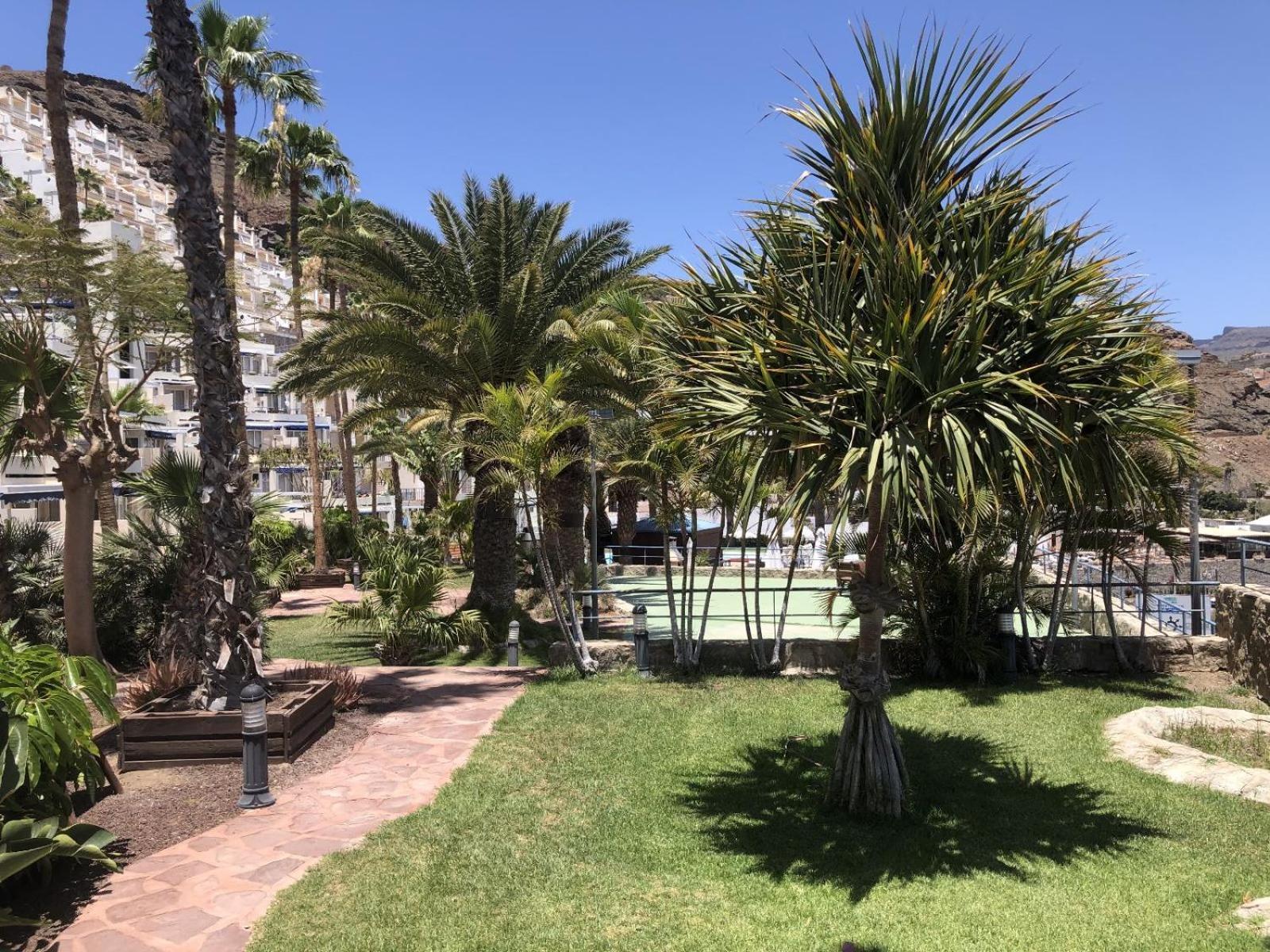 Blue Pearl - Pool - Terrace - Ocean View - Beach - Wifi - Wonderful Complex - Free Digital Travel Guide Mogán Εξωτερικό φωτογραφία